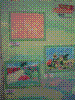 flower show2004 159.jpg